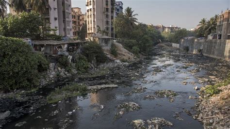 Mumbai civic body to start work on 120-crore Mithi treatment plant in ...