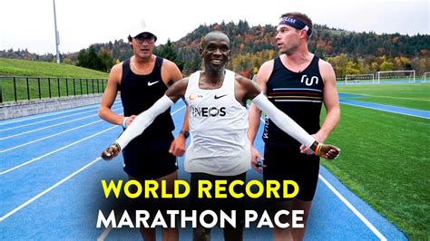 Darrell Singleton News: Marathon World Record Pace