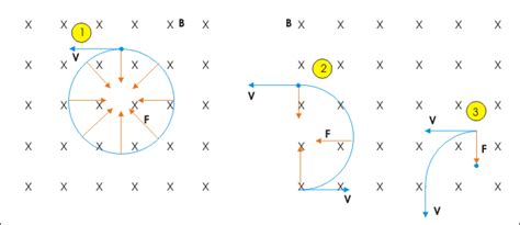 Charged Particles in Magnetic Fields - HSC Physics – Science Ready