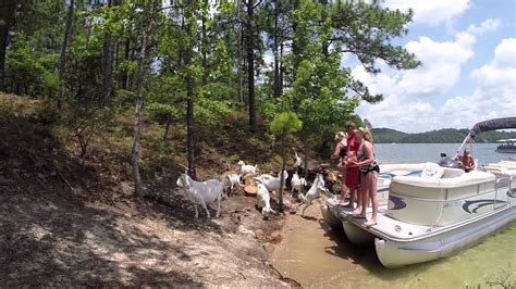 Lake Eufaula Alabama Boat Rentals