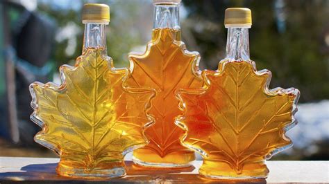 Canada's maple syrup 'rebels' - BBC News