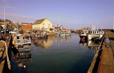 Pittenweem Harbour 20 East Shore, Pittenweem KY10 2NH, UK | Shores, Scotland, Harbour