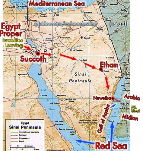 Map showing the route of the Exodus. | Bible history, Bible mapping, Map