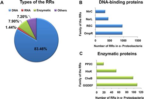 Global classification of bacterial RRs occurring in α-Proteobacteria in... | Download Scientific ...