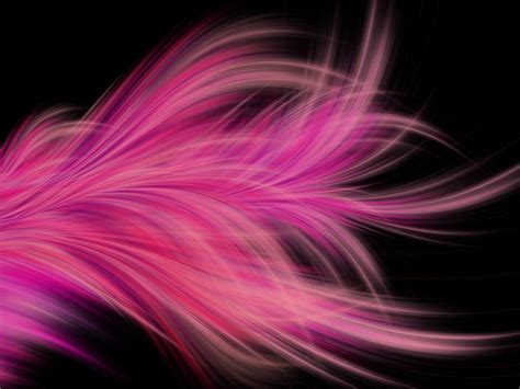 Pink Fractal Abstract Feather, HD Abstract, 4k Wallpapers, Images, Backgrounds, Photos and Pictures