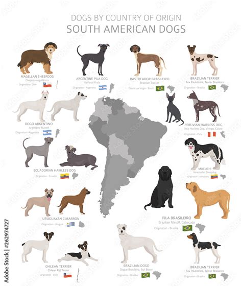 Dogs by country of origin. South American dog breeds. Shepherds ...