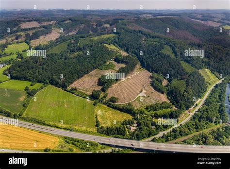 Aerial photo, Arnsberg forest, forest area with forest damage in ...