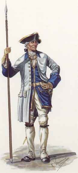 French and Indian War Le Regiment de Languedoc - History and Uniform