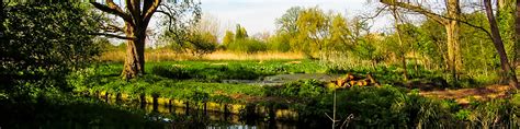 King George's Park • Wandle Valley