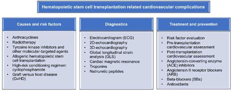 JPM | Free Full-Text | Cardiovascular Complications in Hematopoietic ...