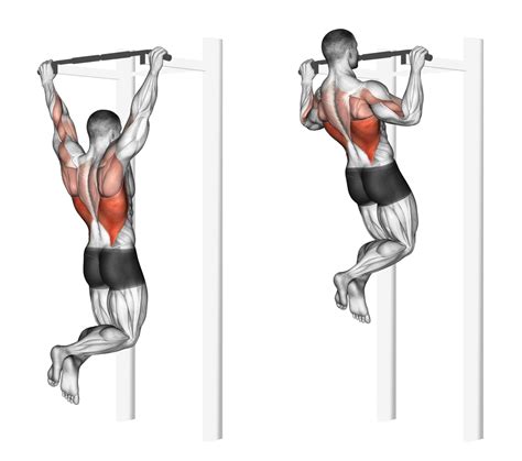 Pull Ups: Benefits, Muscles Worked, and More - Inspire US