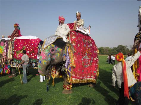 Elephant Festival Jaipur 2024 | Dates, Events, Photos & More