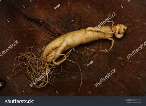 Fresh Ginseng Root Food Background Stock Photo 1849647049 | Shutterstock