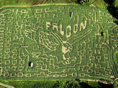 14 Corn Maze Ideas Throughout History | Homesteading Simple Self ...