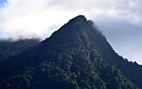 8 PHOTOS THAT WILL MAKE YOU WANT TO TOUR TRINIDAD'S NORTH COAST - Travel Bliss Now