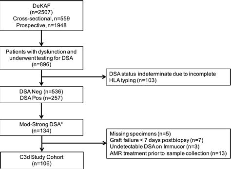 Clinical utility of complement-dependent C3d assay in kidney recipients presenting with late ...