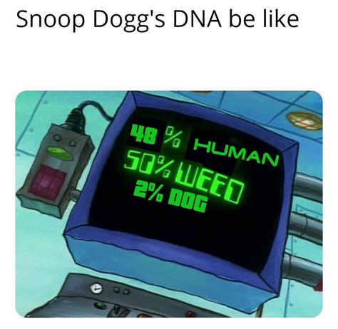 Here's a snoop dogg meme for y'all | Scrolller