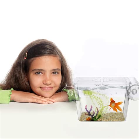 Transparent Acrylic Fish Tank Breeding Isolation Box Aquarium - Pet Pro Store