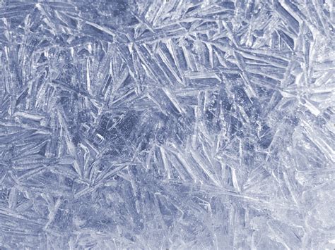 Pin by designer.uid on my photos | Things under a microscope, Icy blue, Microscopy art