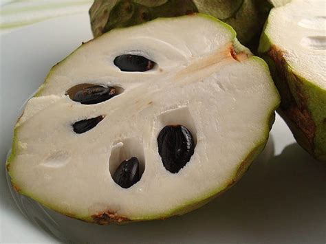 Cherimoya Seeds - Etsy