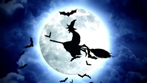 Halloween Witches Flying, Motion Graphics | VideoHive