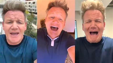 Gordon Ramsay's BEST TikTok Moments - The Global Herald