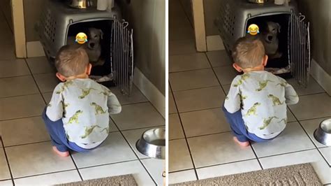 Toddler hilariously scolds pup for pooping on his bed #Shorts - YouTube