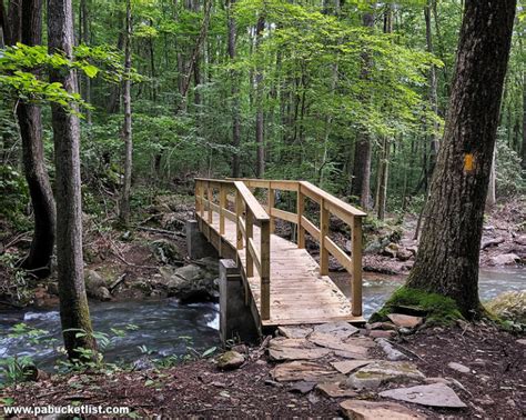 10 of the Best Hiking Trails at Ohiopyle State Park