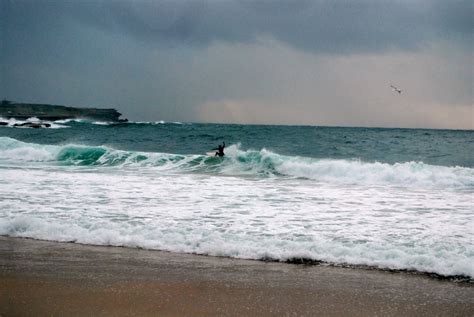 Surfing Coogee Beach Coogee New South Wales Australia