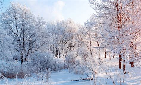 Fact check: Does it ever snow on Christmas in Germany?