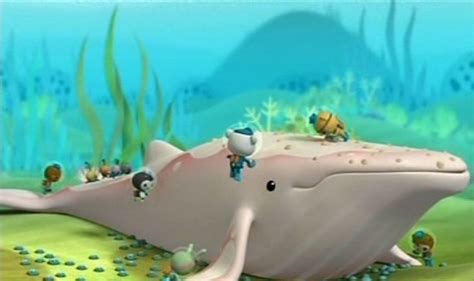 The Albino Humpback Whale - Octonauts Wiki