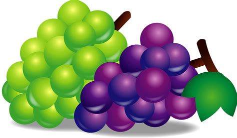grapes - Clip Art Library