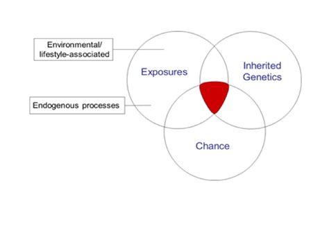 Section 4: What causes mutations? | British Society for Cell Biology