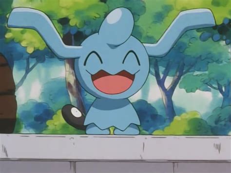 Wynaut (anime) - The Pokémon Wiki