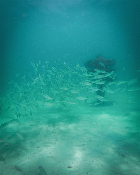 Park East Artificial Reef - Pensacola Vibes