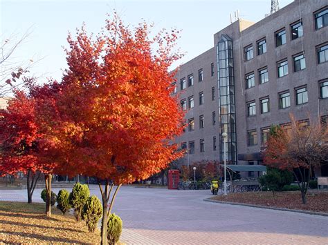 Sungkyunkwan University, Korea – Sekolah Luar Negeri