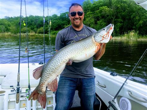 51 inch muskie on Lake of the Woods in Roseau Ontario on 06/15/2019 ...