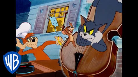 sermaye piston dışa doğru tom and jerry looney tunes zayıflık korumak önemsiz