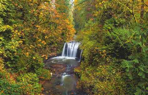 29 Stunning Oregon Waterfall Hikes