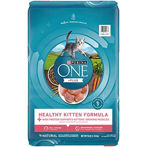 Purina ONE High Protein, Natural Dry Kitten Food, +Plus Healthy Kitten ...