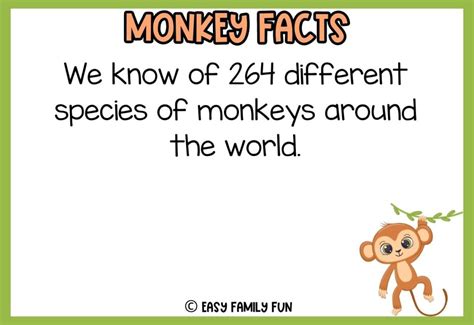 100 Marvelous Facts About Monkeys