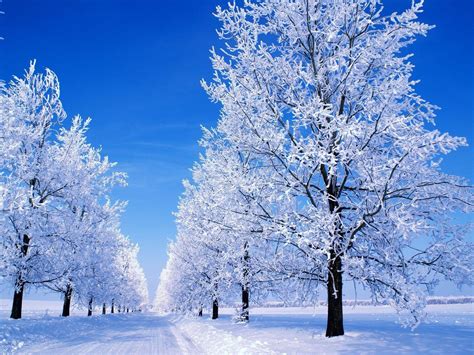 Beautiful Snowfall Wallpapers - Top Free Beautiful Snowfall Backgrounds ...