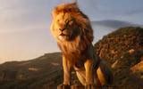 Mufasa: el Rey León: ¿de qué trata la precuela live-action de Disney y cuándo se estrena? - El ...