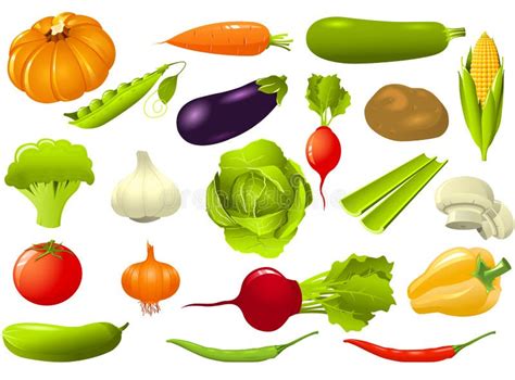 Vegetables Stock Illustrations – 488,641 Vegetables Stock Illustrations, Vectors & Clipart ...