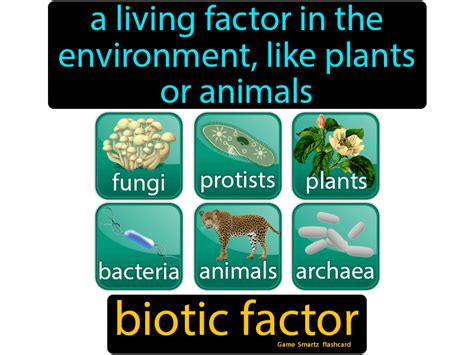 Biotic Factor - Easy Science | Biotic, Flashcards, Science