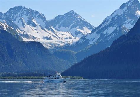 Seward Kenai Fjords 4 Hour Wildlife Cruise | Alaska Shore Excursions