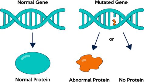 Genetic Mutation Types