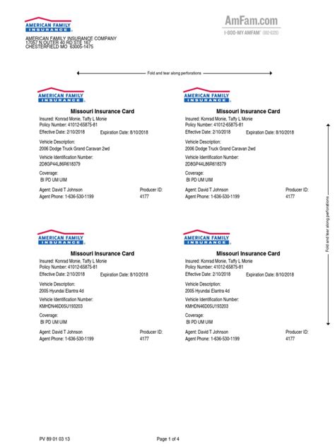 Printable Insurance Card Template