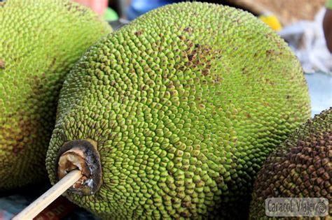 Frutas raras asiáticas o tropicales | Sabores y texturas