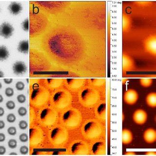 DLS of PNiPAm microgels. a) dH of the PNiPAm microgels as a function of ...